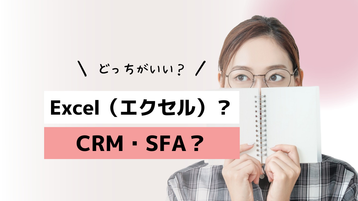 crm-sfa (1)
