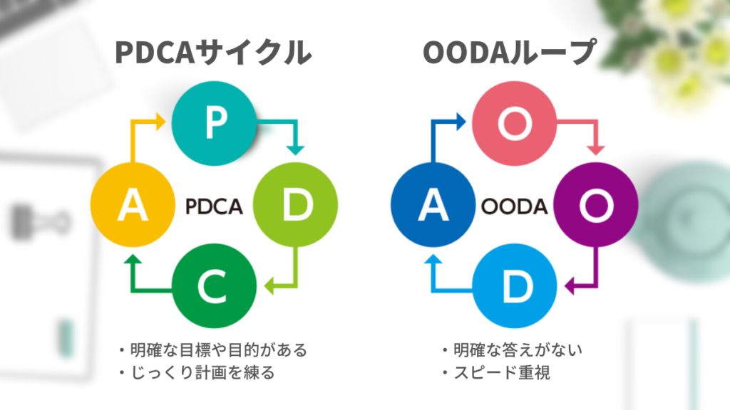 ooda (3)