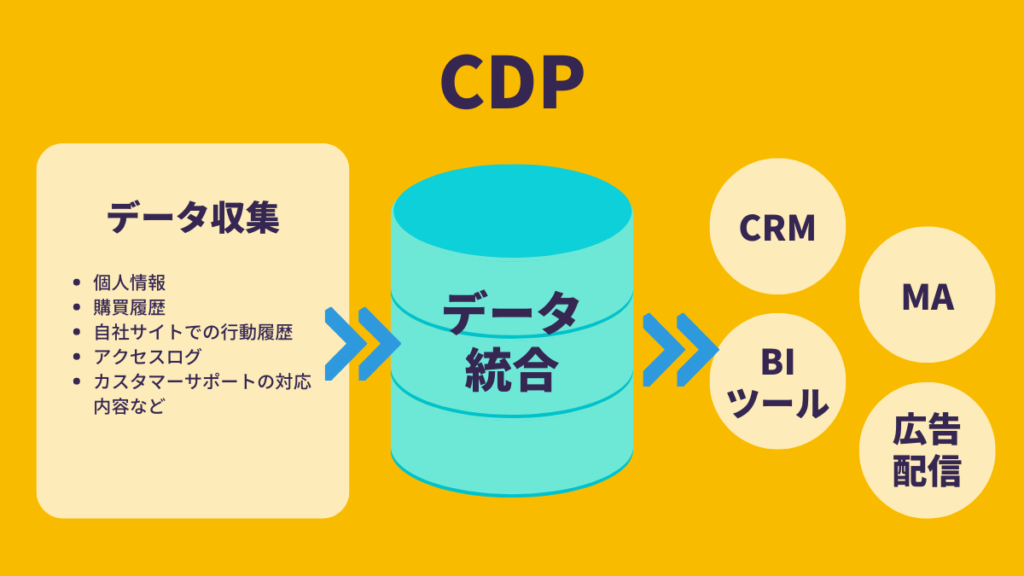 dmp (3)