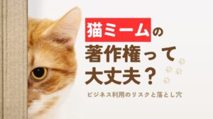 cat-meme